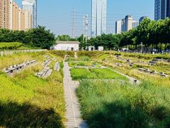 -唐城墙遗址公园