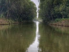 -溱湖国家湿地公园