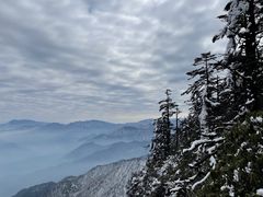 -瓦屋山景区