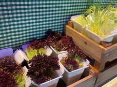 -曼格活海鲜·牛排自助(光明蓝鲸店)