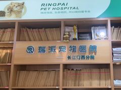 -瑞派长江宠物医院·猫科·外科·24小时夜护(谊城公寓分院)