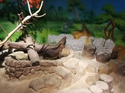 -未来动物城动物主题公园(大悦城店)