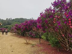 -南国桃园旅游度假区