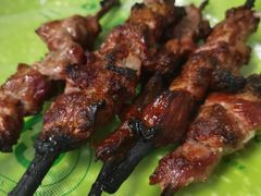 红柳烤肉-艾力江和田馕坑烤肉店
