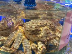 -新海渔港·胶东海鲜家常菜·家宴(奥体中心店)