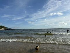 -渔·海鲜餐厅（东澳可域度假村内）南沙湾沙滩店