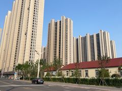 -星光岛