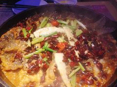 -老板恋上鱼(恒隆广场店)