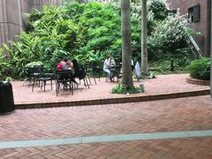 -香港大学