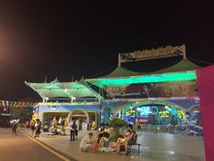 -巨鹏飞梦幻海岸