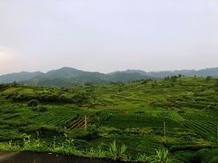 -乌石村