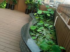 -沈家花园如皋菜(君御豪庭店)