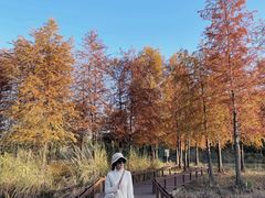 -梁鸿国家湿地公园