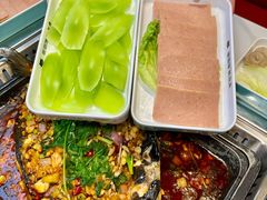 -黑猫馋纸包鱼(阳光店)