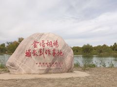 -金塔沙漠胡杨林景区