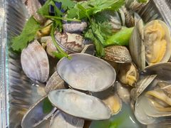-潮庭·大连海鲜·炭火烧烤·扇贝王(大连店)