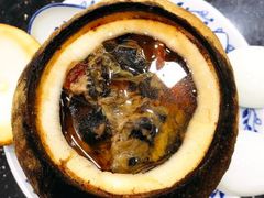 -達揚原味燉品(文明路店)