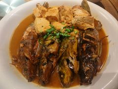 -鸽子窝(青塔店)