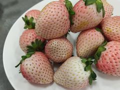 -沪依小酒馆心意菜