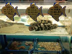 -小螺号海鲜·地道鲁菜(泉城广场店)