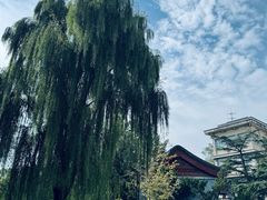 -护国寺小吃(新街口店)