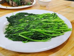 炒青菜-长平肥姐白粥·海鲜打冷