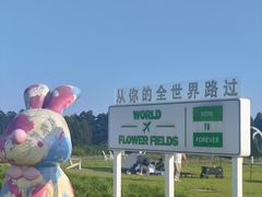 -空港花田景区