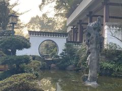 -南山植物园