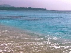 -白沙湾海滩