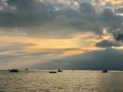 -广东惠东海龟国家级自然保护区