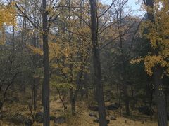 -阳台山自然风景区