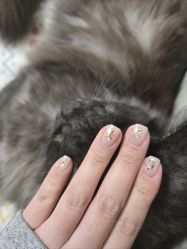 -LEILEI NAIL蕾蕾美甲美睫