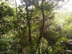 -百威KTV(恒福路店)