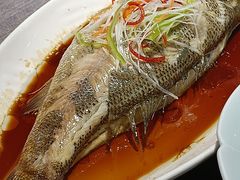 干烧鲈鱼-金泽大酒店·卢塞恩餐厅·年夜饭春节连市