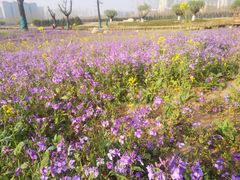 -汉长安城未央宫国家考古遗址公园