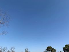 -良渚古城遗址公园