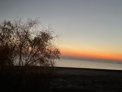 -合肥滨湖国家森林公园