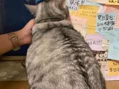 -H立方实景剧情密室(天河旗舰店)