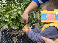 -前小桔亲子创意农场·草莓采摘·露营烧烤