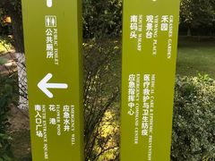 -青枫公园