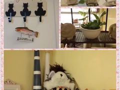 -more than meow吴止猫主题餐厅(承德 中船汇店)