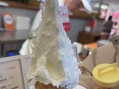 -野人先生Gelato(上海长宁龙之梦店)