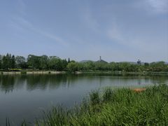 -北坞公园
