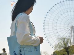 -南昌之星摩天轮