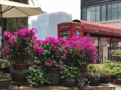 -瓦库茶馆17号(海汇港店)