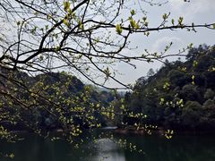 -小格里自然风景区