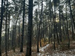 -帽儿山国家森林公园