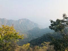 -大岭沟猕猴桃谷风景区