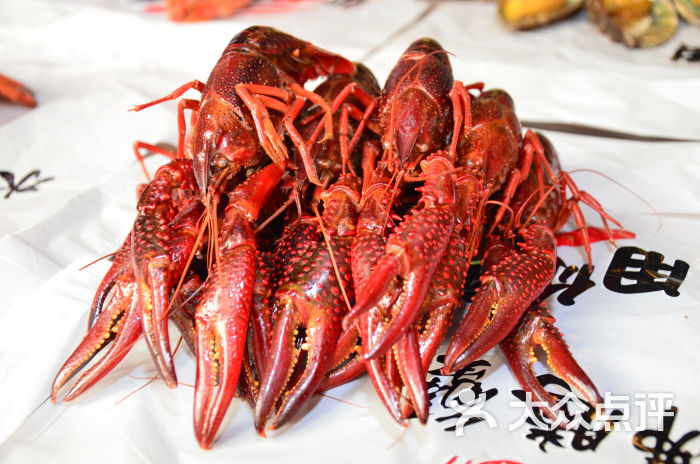 神牛汕头牛肉火锅(市桥店)小龙虾图片 - 第23张