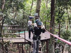 -海南槟榔谷黎苗文化旅游区